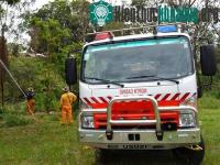 Ảnh Nắng nóng khiến 5.000 con dơi chết "như rạ"