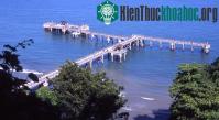 Ảnh Singapore: Hơn 100 loài thủy sinh mới được phát hiện