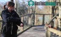 Ảnh Sóc táo tợn cướp thức ăn trong túi áo người