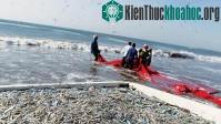 Ảnh Interpol ngăn chặn đánh bắt cá bất hợp pháp ở Thái Bình Dương