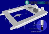 Ảnh Phát hiện thú vị về giấc ngủ đặc biệt của cá heo