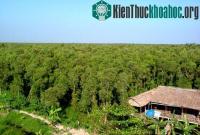 Ảnh Thêm nhiều động vật quý hiếm ở rừng U Minh Hạ