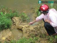 Ảnh Nghệ An: Voi dữ tấn công làm chết người