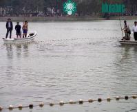 Ảnh Căn cứ chứng minh Rùa Hồ Gươm là "hậu duệ" thần rùa