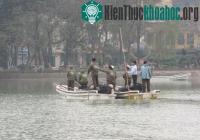 Ảnh Tìm cụ Rùa thứ 2 tại hồ Gươm