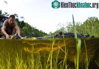 Ảnh Cận cảnh cá sấu khổng lồ