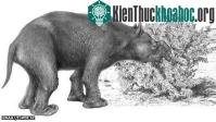 Ảnh Các loài thú lớn Úc tuyệt chủng "do con người"