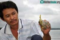 Ảnh Kinh hãi ốc lạ trên sông Thị Vải