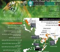 Ảnh Indonesia: Lại thêm một con hổ Sumatra bị giết