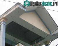 Ảnh Tổ chim lạ khổng lồ trong nhà dân