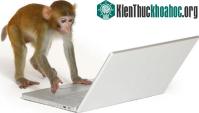 Ảnh Khỉ điều khiển màn hình cảm ứng