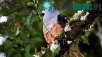 Ảnh Phát hiện nhiều loài sinh vật mới