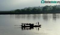 Ảnh Ly kỳ chuyện rùa khổng lồ tấn công trâu mộng giữa sông Hồng