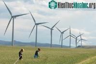 Ảnh Tuabin gió là nguy cơ tử vong của loài dơi
