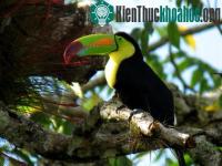Ảnh Những thiết kế kỳ diệu của thiên nhiên (phần 1)