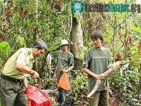 Ảnh TP.HCM: Thả 43 động vật quý về rừng