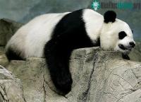 Ảnh 4 lần "yêu" đều... 1 vạch