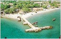 Ảnh Các loài bay ở Côn Đảo (Phần 1)
