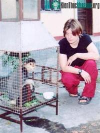 Ảnh Đà Nẵng: cứu thêm một con voọc vá chân nâu
