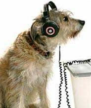 Ảnh Radio dành cho chó, mèo