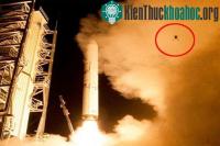 Ảnh Ếch "bay" cùng tàu vũ trụ của NASA