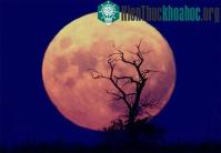 Ảnh NASA sắp lập vườn rau trên mặt trăng