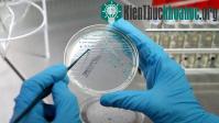 Ảnh Các vi khuẩn Taimyr có khả năng sống trên sao Hỏa