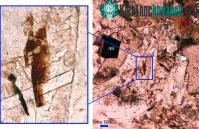 Ảnh Khoáng chất ở Mặt Trăng tìm thấy nhiều ở Australia