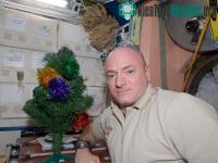 Ảnh Cây thông mừng Noel trên trạm không gian ISS