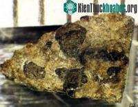 Ảnh Sự sống trên Trái đất có nguồn gốc từ vũ trụ