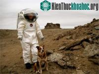 Ảnh Hòn đảo "sao Hỏa" ngay trên Trái đất