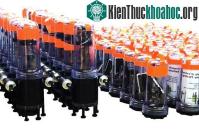 Ảnh Binh đoàn robot bơi dọc sông tại California