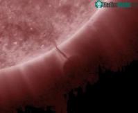 Ảnh Nhìn thấy phi thuyền UFO đang "hút" nhiên liệu?