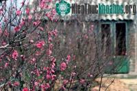 Ảnh Xuân trong khoa Thiên văn học
