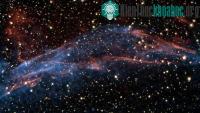 Ảnh Sự gia tốc phần tử trong thiên hà Milky Way