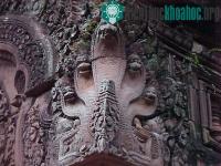 Ảnh Vì sao loài người tôn thờ rắn?