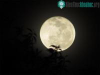 Ảnh Vì sao "trai mùng một, gái hôm rằm" khó nuôi?