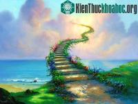 Ảnh Hiện tượng "nhìn thấy thiên đường" qua lời kể của người chết đi sống lại