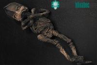 Ảnh Xác ướp bí ẩn nghi thuộc về người ngoài hành tinh ở Nga
