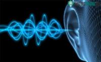 Ảnh Những tiếng gọi bí ẩn