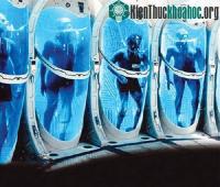 Ảnh Bí ẩn ít biết về công nghệ đông xác chờ hồi sinh