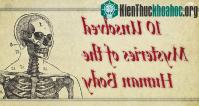 Ảnh Những bí mật hóc búa nhất về cơ thể người