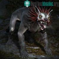 Ảnh Sự thật về quỷ hút máu Chupacabra