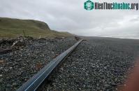 Ảnh Ống lạ dài 100m dạt vào bờ biển New Zealand