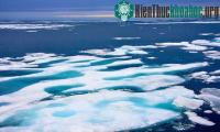 Ảnh Tiếng động bí ẩn dưới đáy biển khiến dân Canada lo lắng