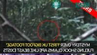 Ảnh Phát hiện quái vật Bigfoot to lớn trong rừng gây sốc?