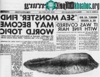 Ảnh 10 thủy quái nổi tiếng nhất mọi thời đại