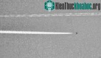 Ảnh Nghi ngờ UFO bay trên bầu trời Texas