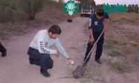 Ảnh Bí ẩn hòn đá phát sáng, tỏa khí kỳ lạ ở Mexico