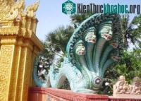 Ảnh Rắn và tục thờ thủy thần của người Việt